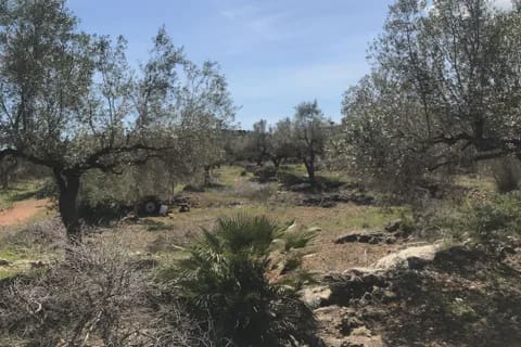 3 soveværelse Finca/Landehus til salg i Rasquera - € 49.000 (Ref: 8199861)