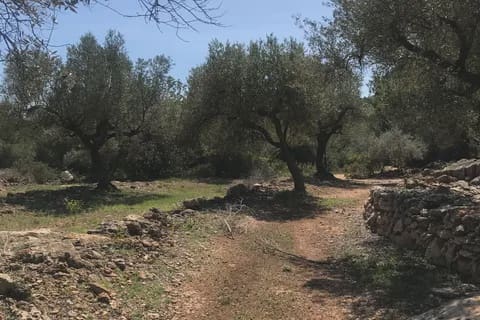 3 soveværelse Finca/Landehus til salg i Rasquera - € 49.000 (Ref: 8199861)