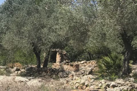 3 soveværelse Finca/Landehus til salg i Rasquera - € 49.000 (Ref: 8199861)