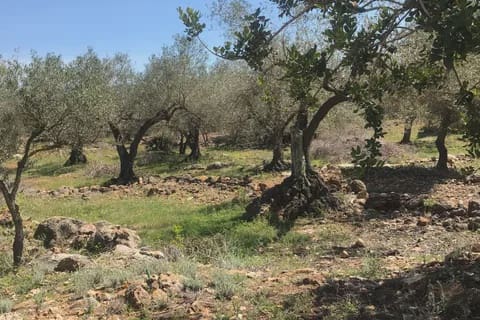 3 soveværelse Finca/Landehus til salg i Rasquera - € 49.000 (Ref: 8199861)