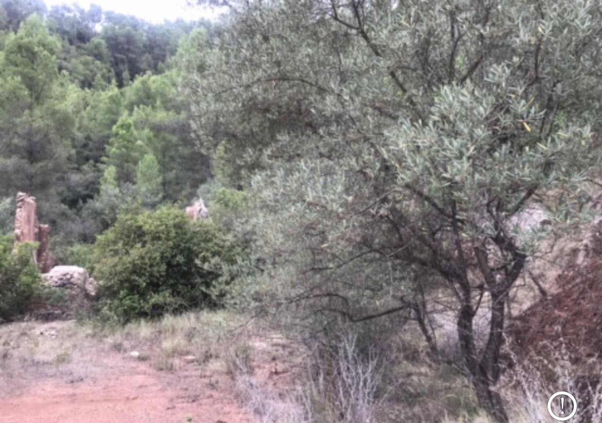 Finca/Herregård til salgs i Benifallet - € 18 000 (Ref: 8422798)