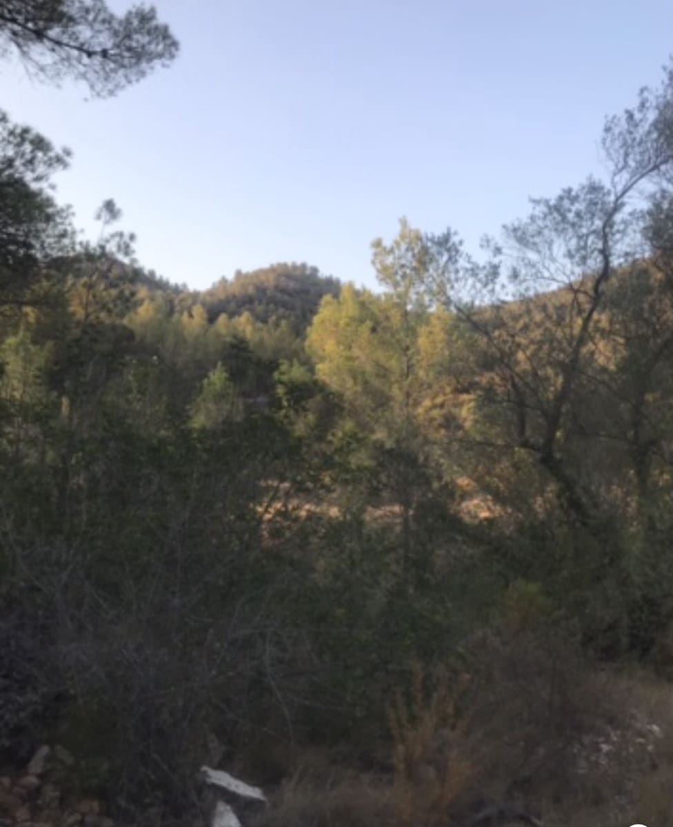 Finca/Herregård til salgs i Benifallet - € 25 000 (Ref: 8479613)