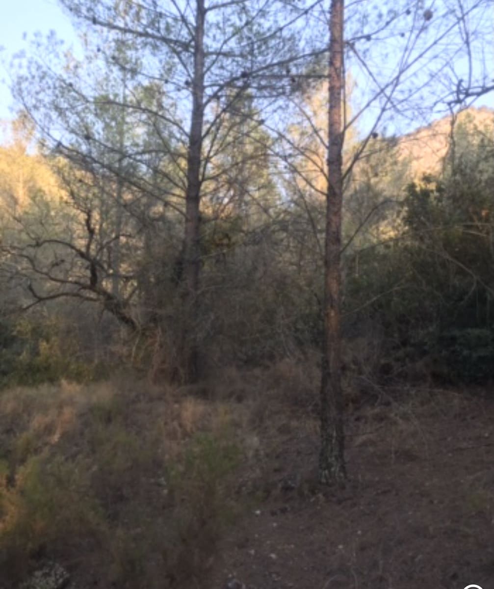 Finca/Herregård til salgs i Benifallet - € 25 000 (Ref: 8479613)