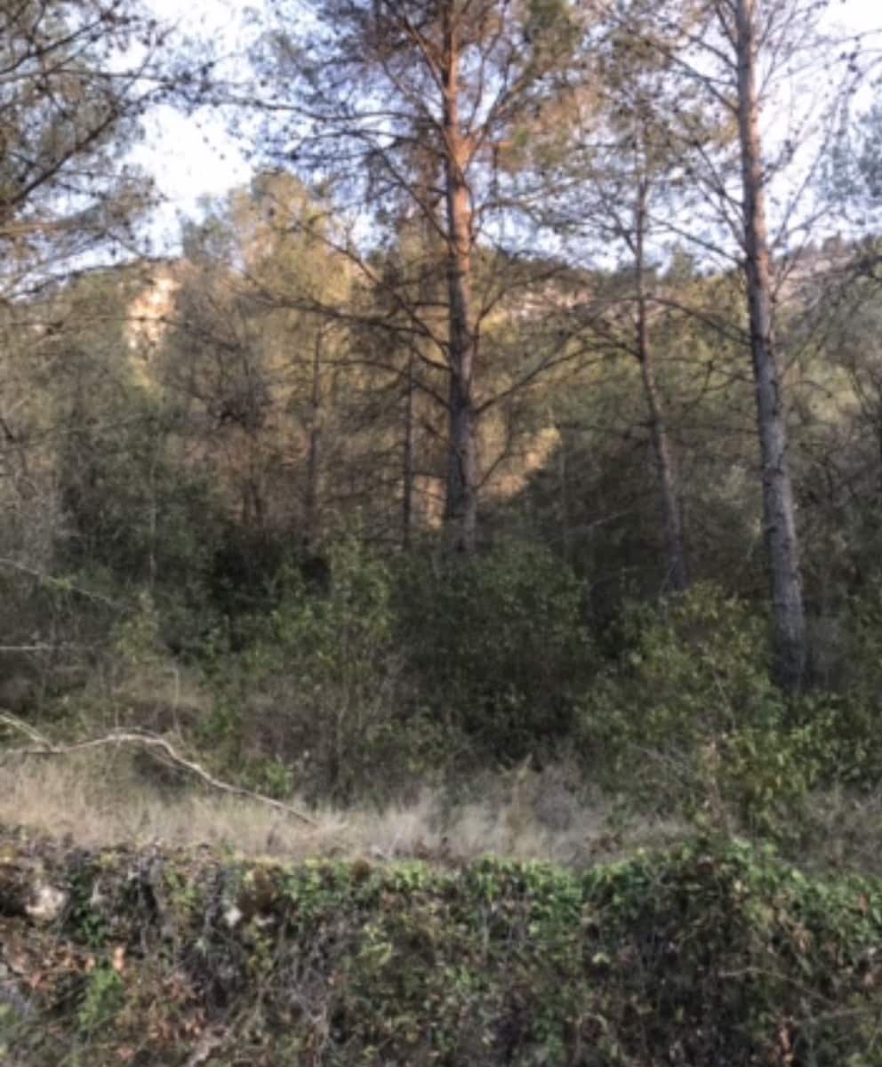 Finca/Herregård til salgs i Benifallet - € 25 000 (Ref: 8479613)