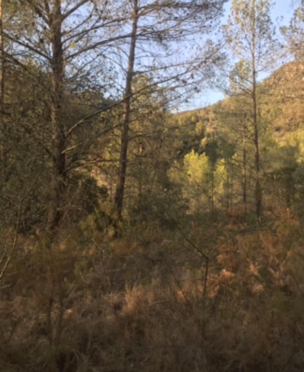 Finca/Herregård til salgs i Benifallet - € 25 000 (Ref: 8479613)