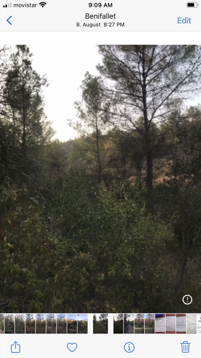 Finca/Herregård til salgs i Benifallet - € 25 000 (Ref: 8479613)