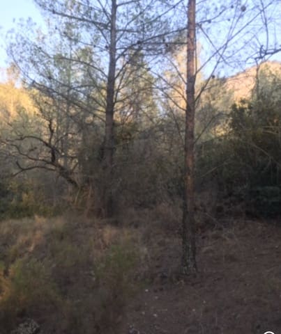 Finca/Herregård til salgs i Benifallet - € 25 000 (Ref: 8479613)