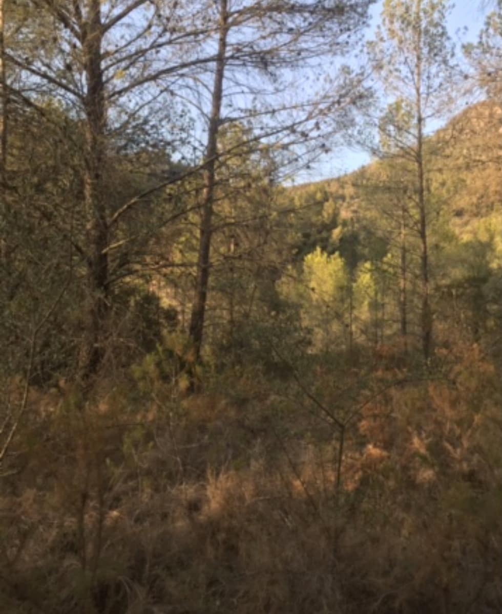 Finca/Landehus til salg i Benifallet - € 25.000 (Ref: 8479613)