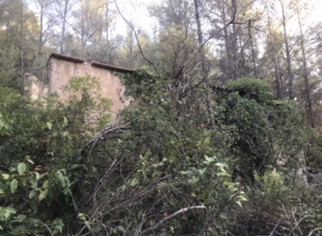 Finca/Herregård til salgs i Benifallet - € 25 000 (Ref: 8479613)