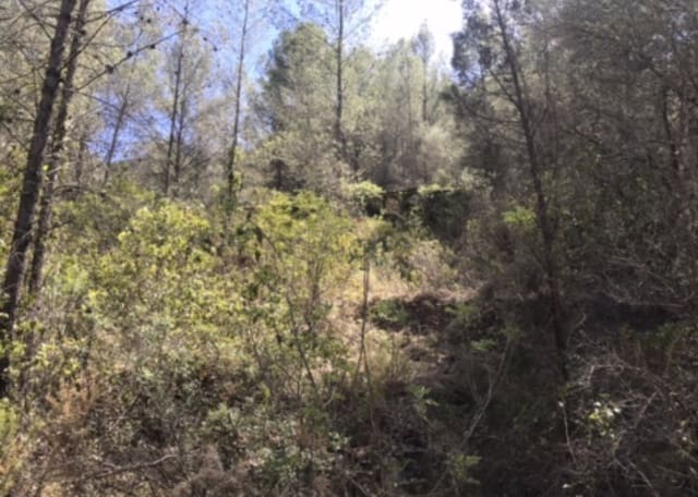 Finca/Herregård til salgs i Benifallet - € 25 000 (Ref: 8479613)