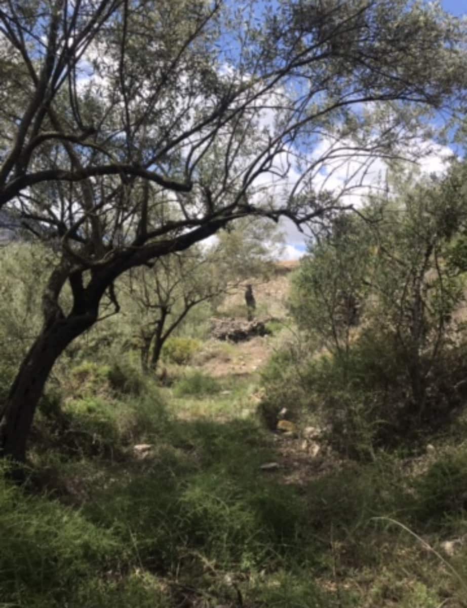 6 camera da letto Finca/Casa di Campagna in vendita in Benifallet - 135.000 € (Rif: 8637999)