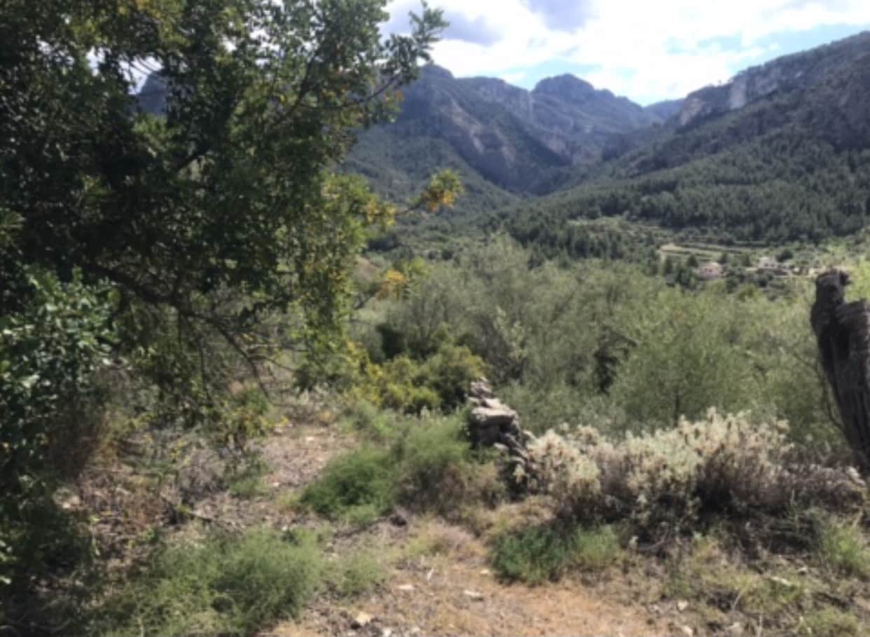 6 camera da letto Finca/Casa di Campagna in vendita in Benifallet - 135.000 € (Rif: 8637999)