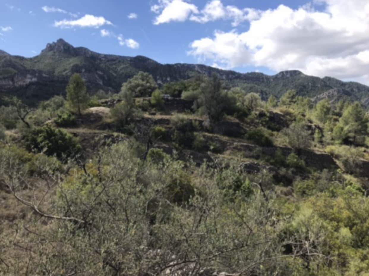 6 camera da letto Finca/Casa di Campagna in vendita in Benifallet - 135.000 € (Rif: 8637999)