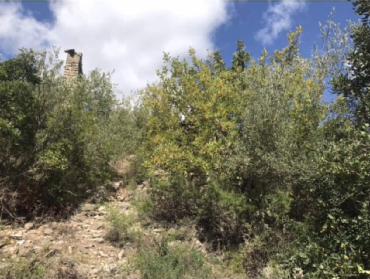 6 bedroom Finca/Country House for sale in Benifallet - € 135,000 (Ref: 8637999)