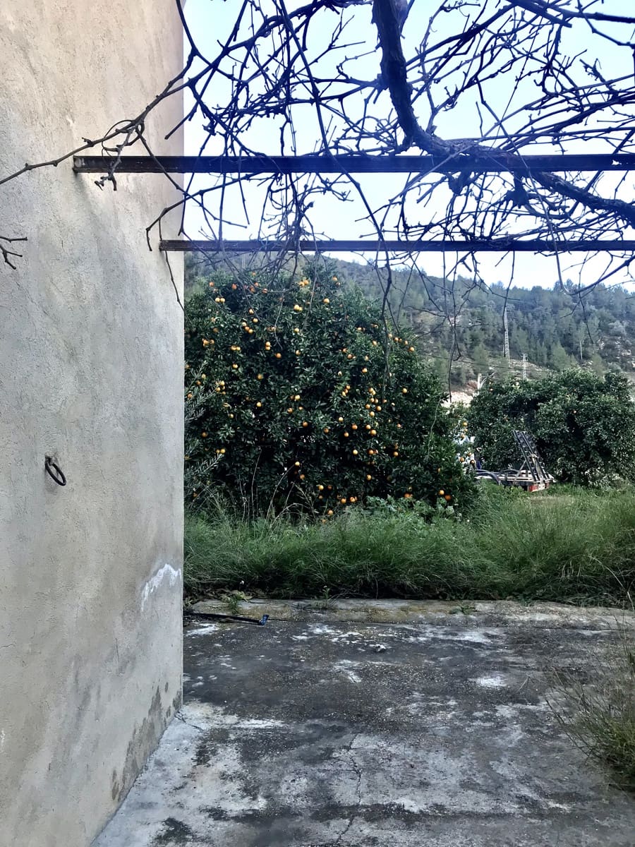 6 camera da letto Finca/Casa di Campagna in vendita in Benifallet - 299.000 € (Rif: 8685329)