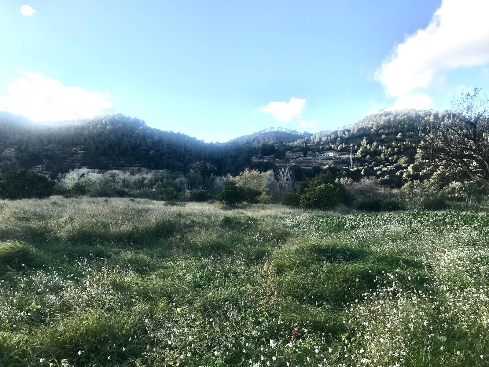 6 camera da letto Finca/Casa di Campagna in vendita in Benifallet - 299.000 € (Rif: 8685329)