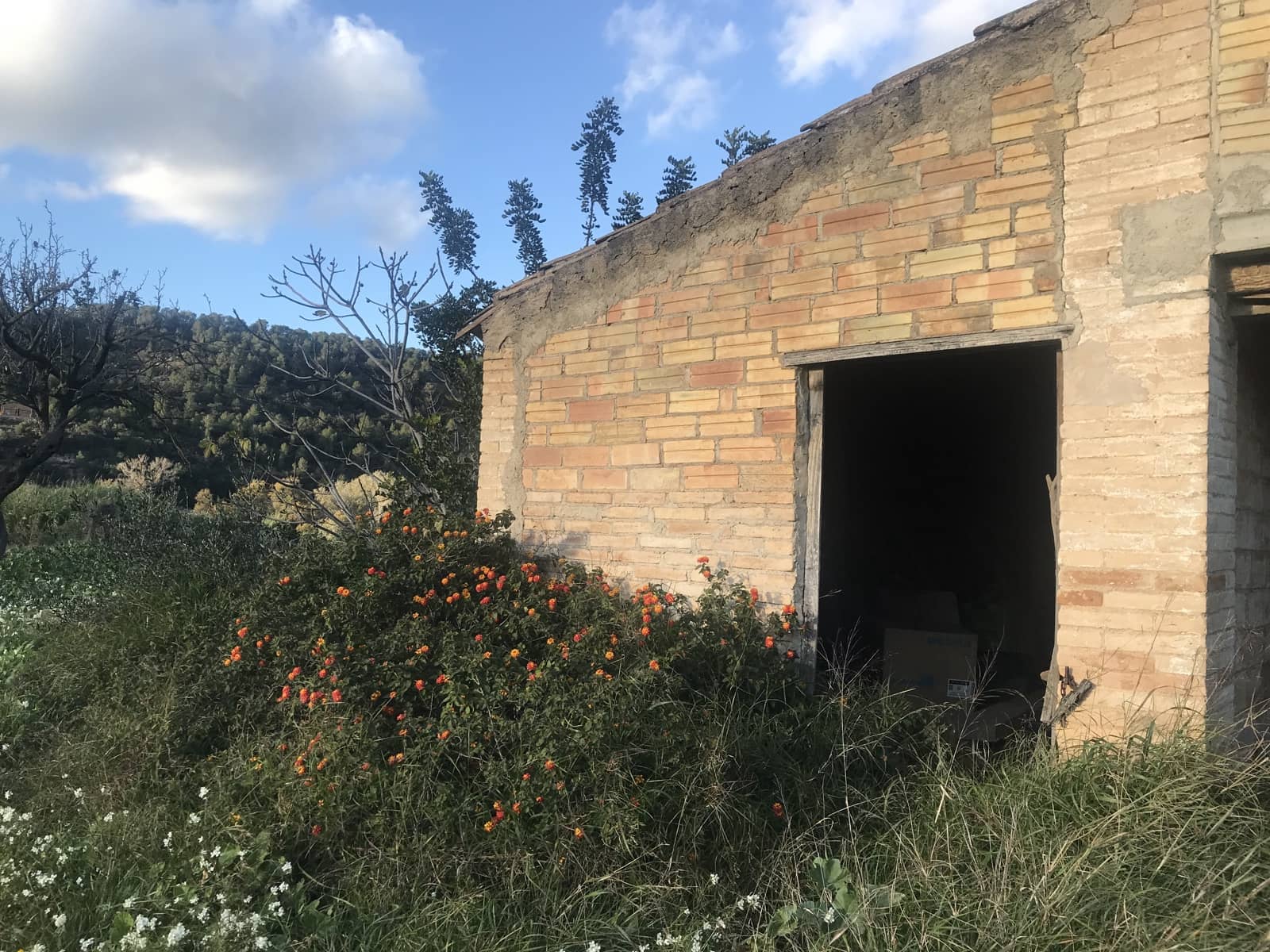 6 camera da letto Finca/Casa di Campagna in vendita in Benifallet - 299.000 € (Rif: 8685329)