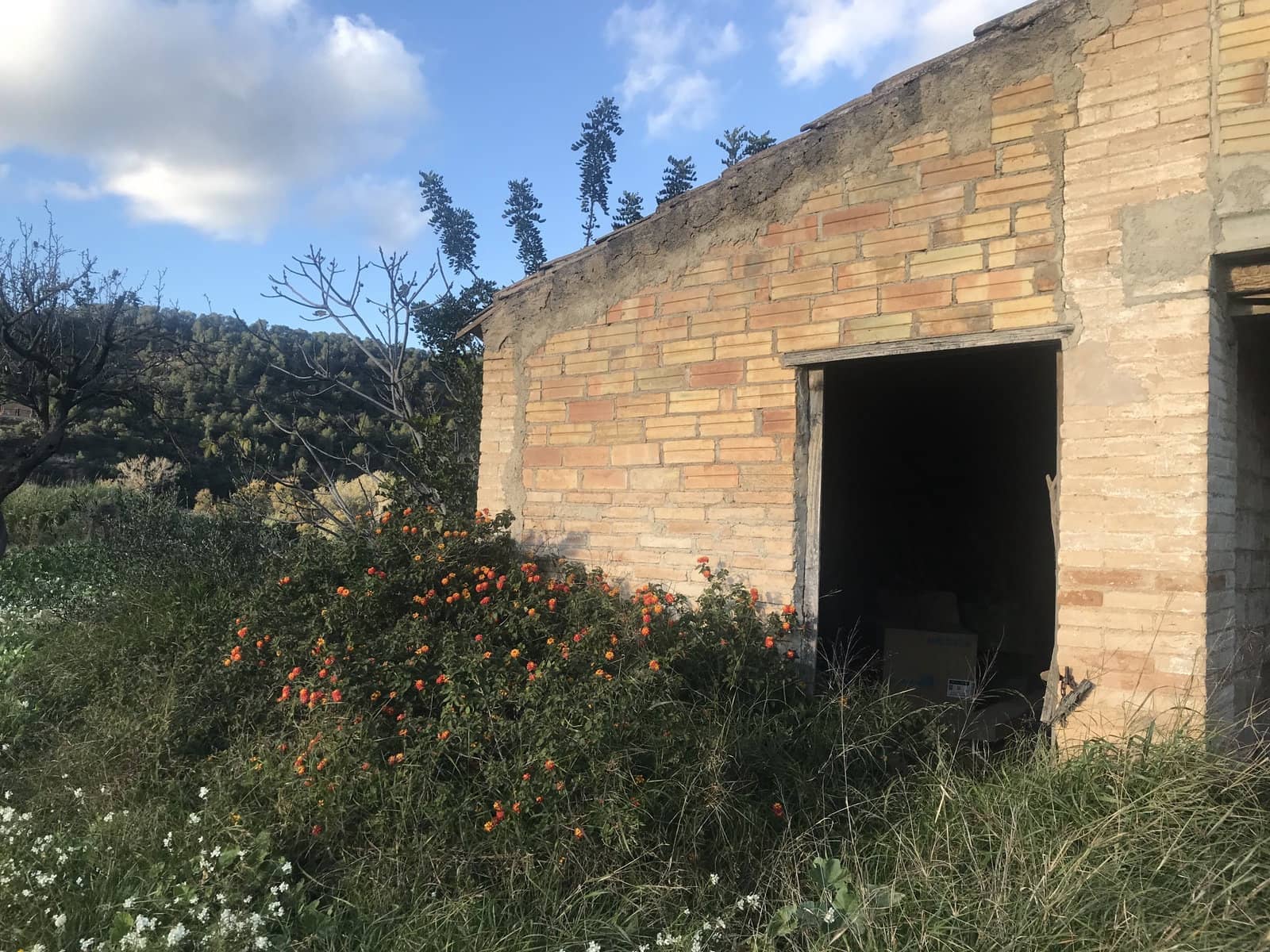 6 soveværelse Finca/Landehus til salg i Benifallet med garage - € 299.000 (Ref: 8685329)