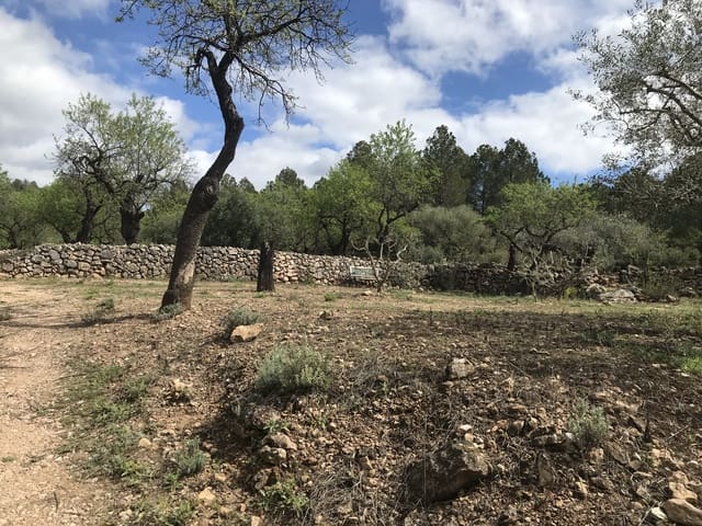 2 sypialnia Finka/Dom wiejski na sprzedaż w Tivissa - 180 000 € (Ref: 8901639)