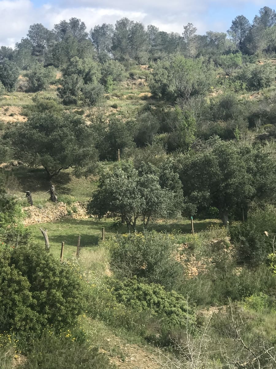 1 soverom Finca/Herregård til salgs i Miravet - € 72 000 (Ref: 8902597)