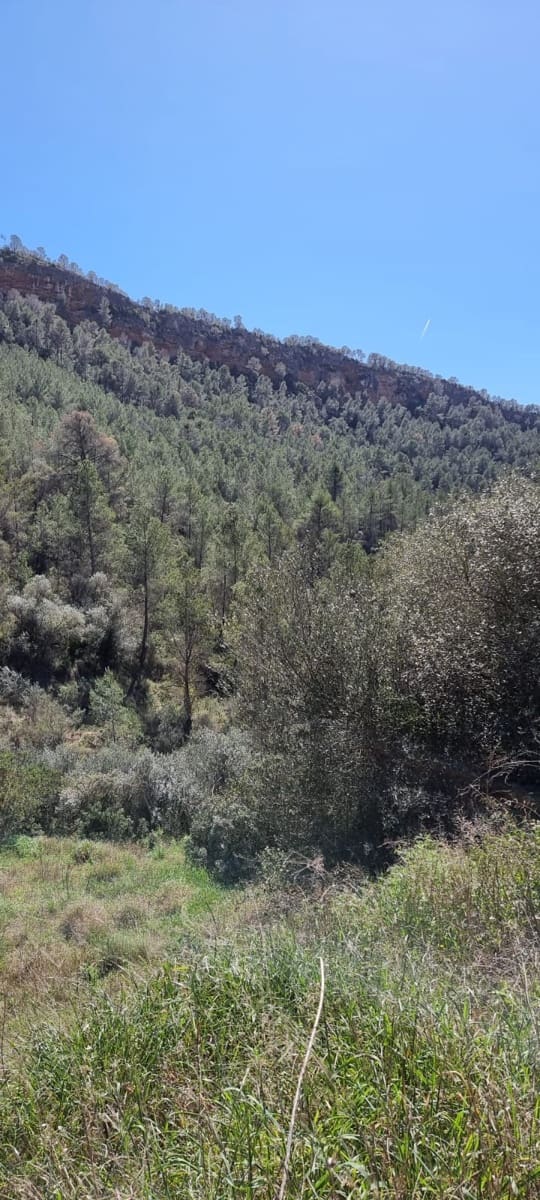 1 soveværelse Finca/Landehus til salg i Garcia - € 27.000 (Ref: 8907039)