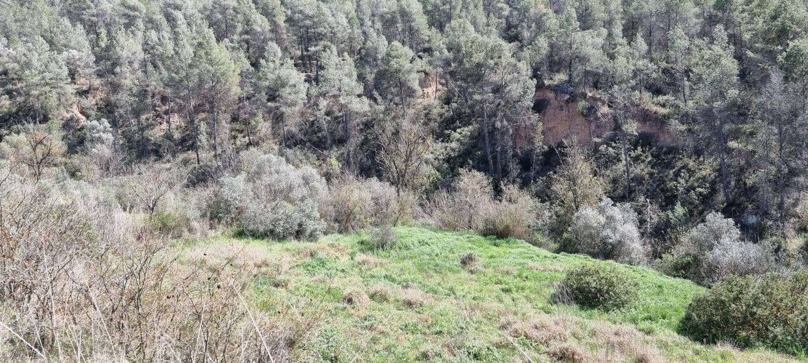 1 soveværelse Finca/Landehus til salg i Garcia - € 27.000 (Ref: 8907039)