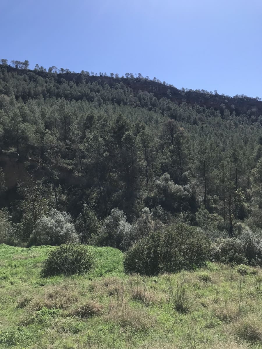 1 soveværelse Finca/Landehus til salg i Garcia - € 27.000 (Ref: 8907039)