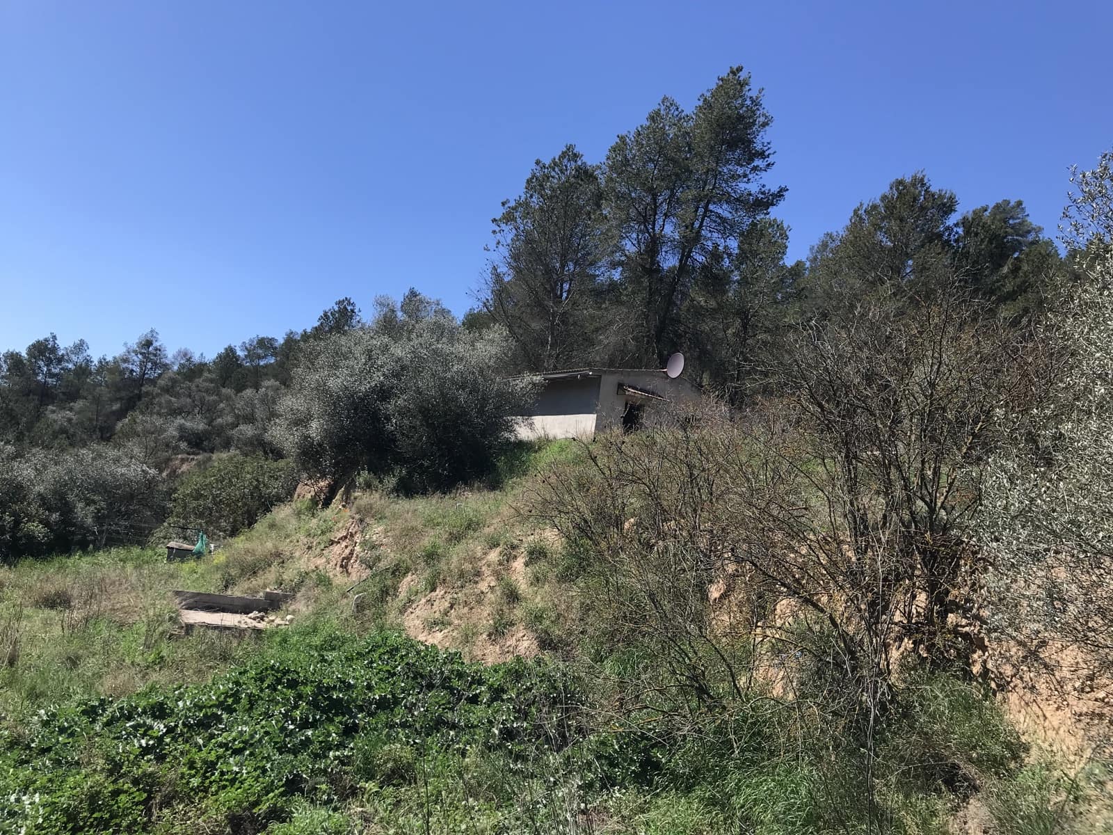 1 soveværelse Finca/Landehus til salg i Garcia - € 27.000 (Ref: 8907039)