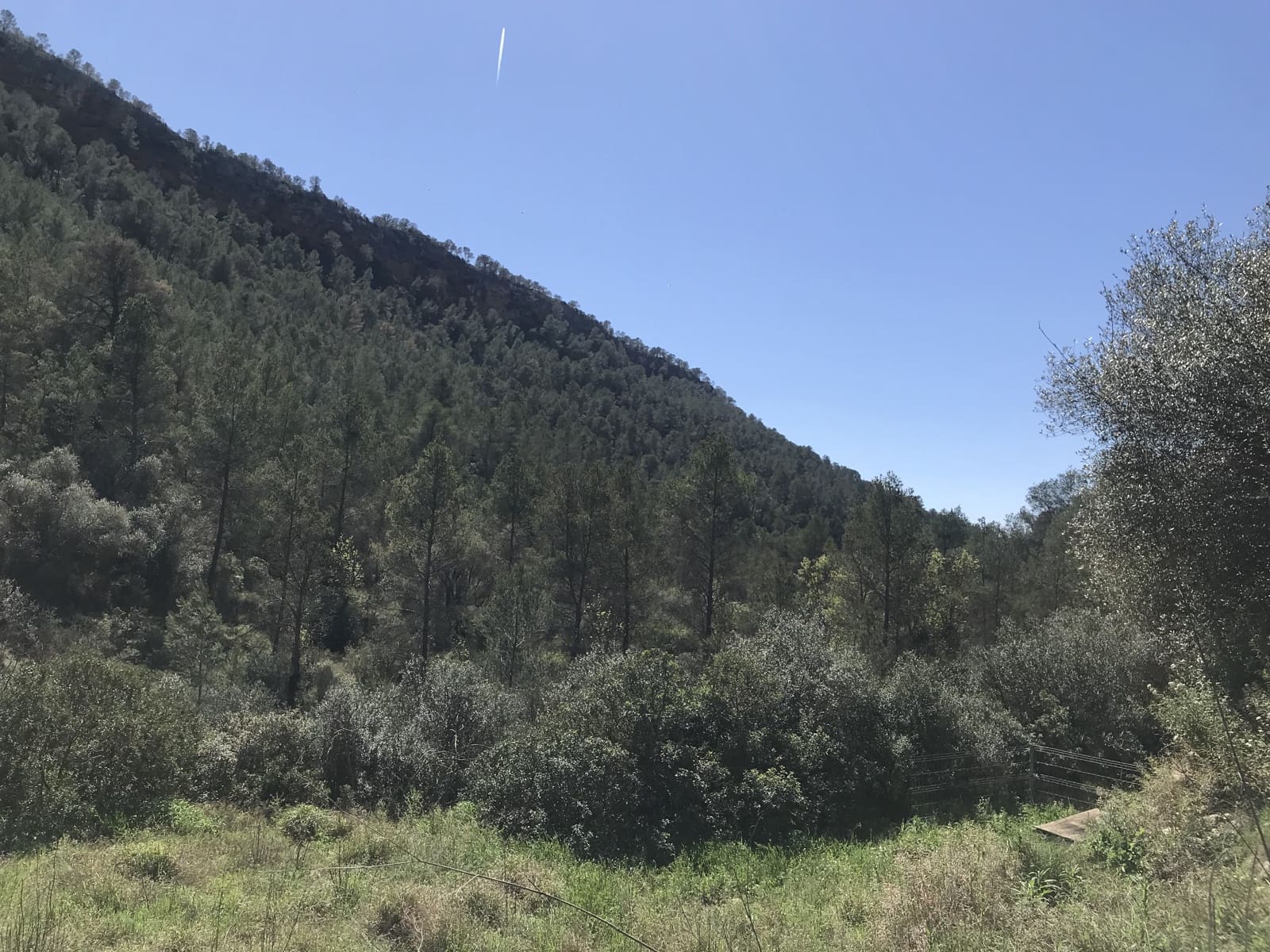 1 soveværelse Finca/Landehus til salg i Garcia - € 27.000 (Ref: 8907039)