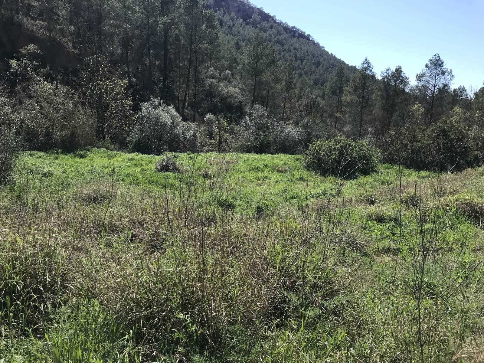 1 soveværelse Finca/Landehus til salg i Garcia - € 27.000 (Ref: 8907039)