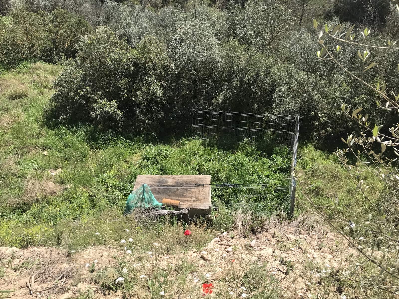 1 soveværelse Finca/Landehus til salg i Garcia - € 27.000 (Ref: 8907039)