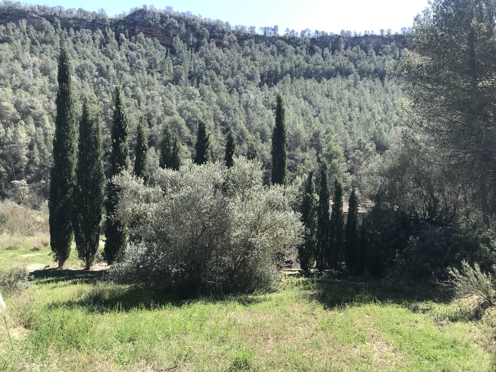 1 soveværelse Finca/Landehus til salg i Garcia - € 27.000 (Ref: 8907039)