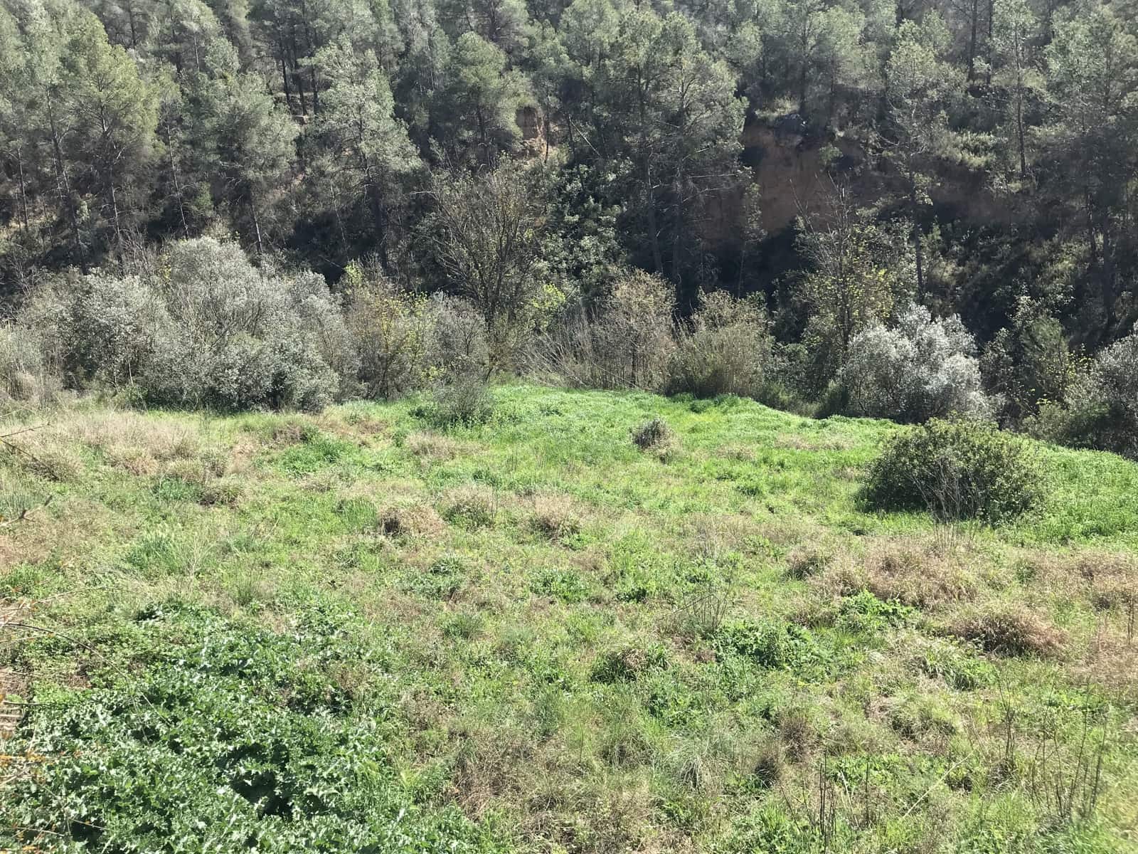 1 soveværelse Finca/Landehus til salg i Garcia - € 27.000 (Ref: 8907039)