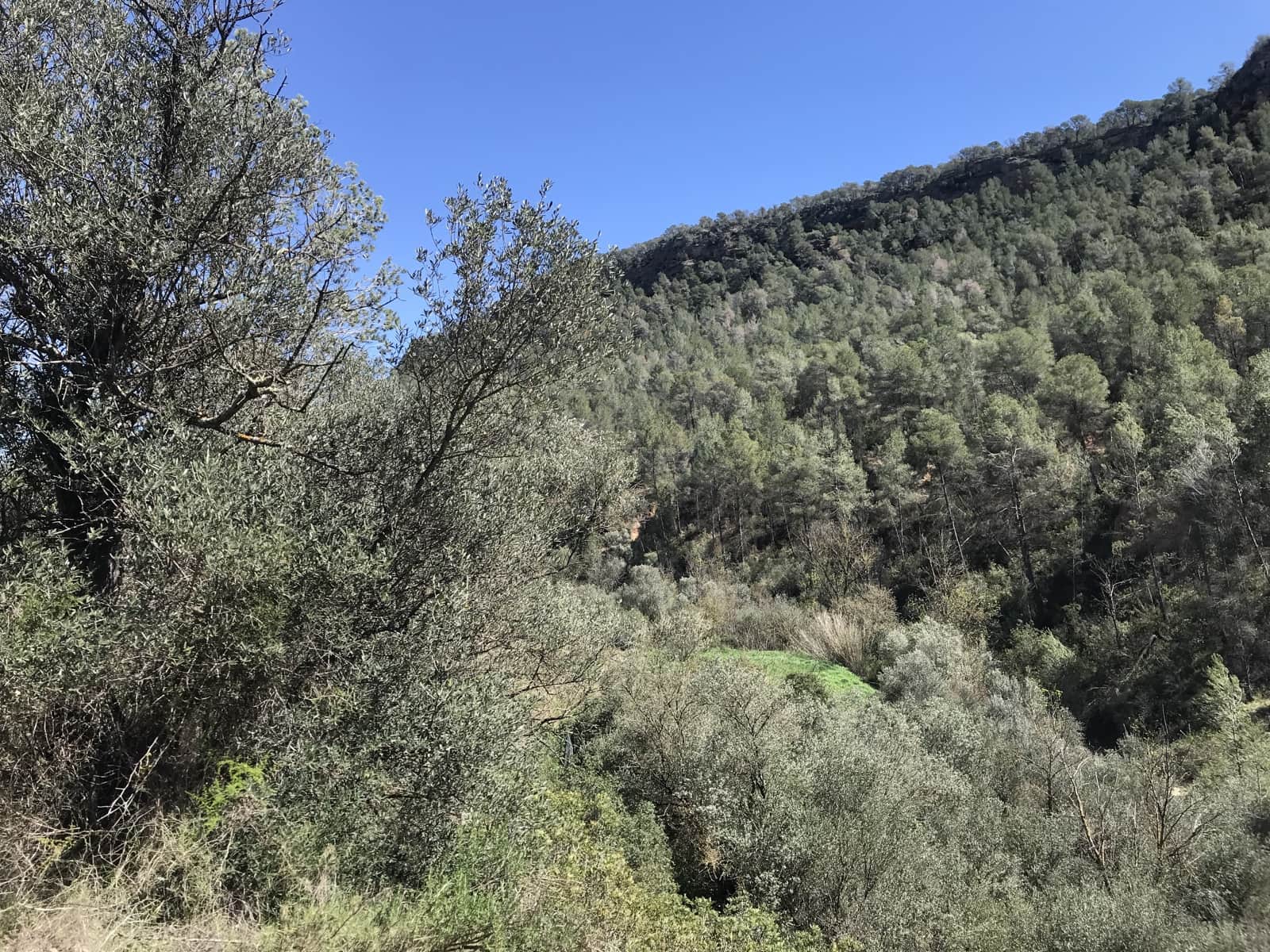 1 soveværelse Finca/Landehus til salg i Garcia - € 27.000 (Ref: 8907039)