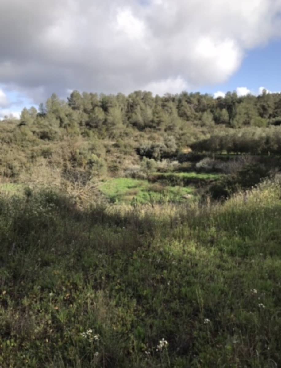 1 soveværelse Finca/Landehus til salg i Flix - € 18.000 (Ref: 8916440)