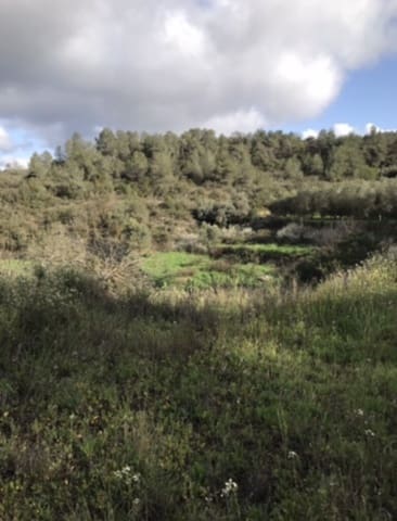 1 soveværelse Finca/Landehus til salg i Flix - € 18.000 (Ref: 8916440)