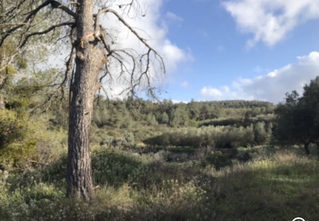 1 soveværelse Finca/Landehus til salg i Flix - € 18.000 (Ref: 8916440)