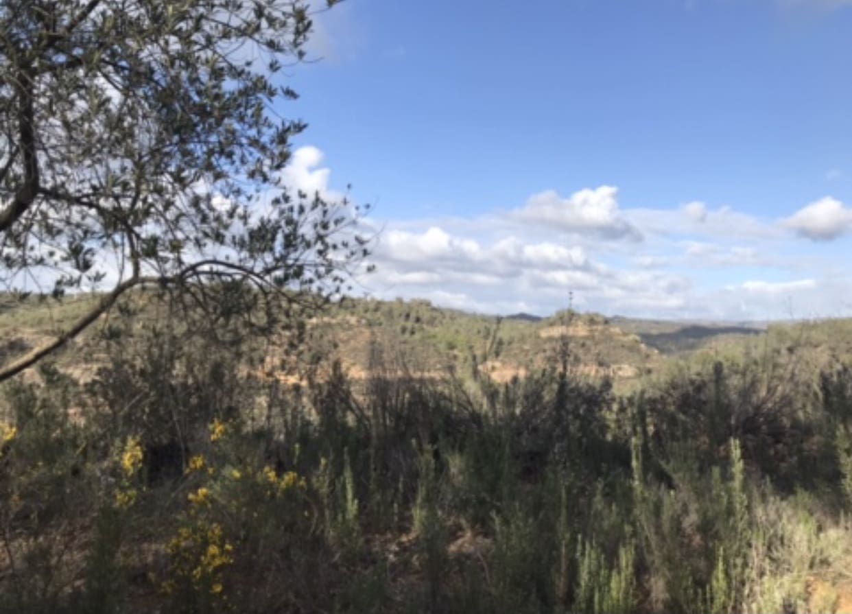 1 soveværelse Finca/Landehus til salg i Flix - € 18.000 (Ref: 8916440)