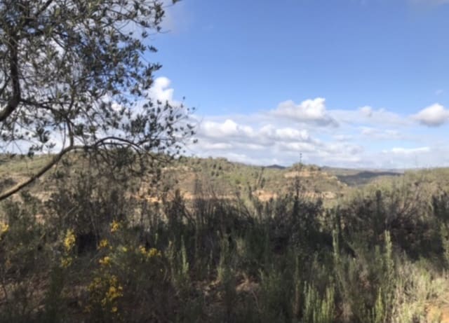 1 soveværelse Finca/Landehus til salg i Flix - € 18.000 (Ref: 8916440)