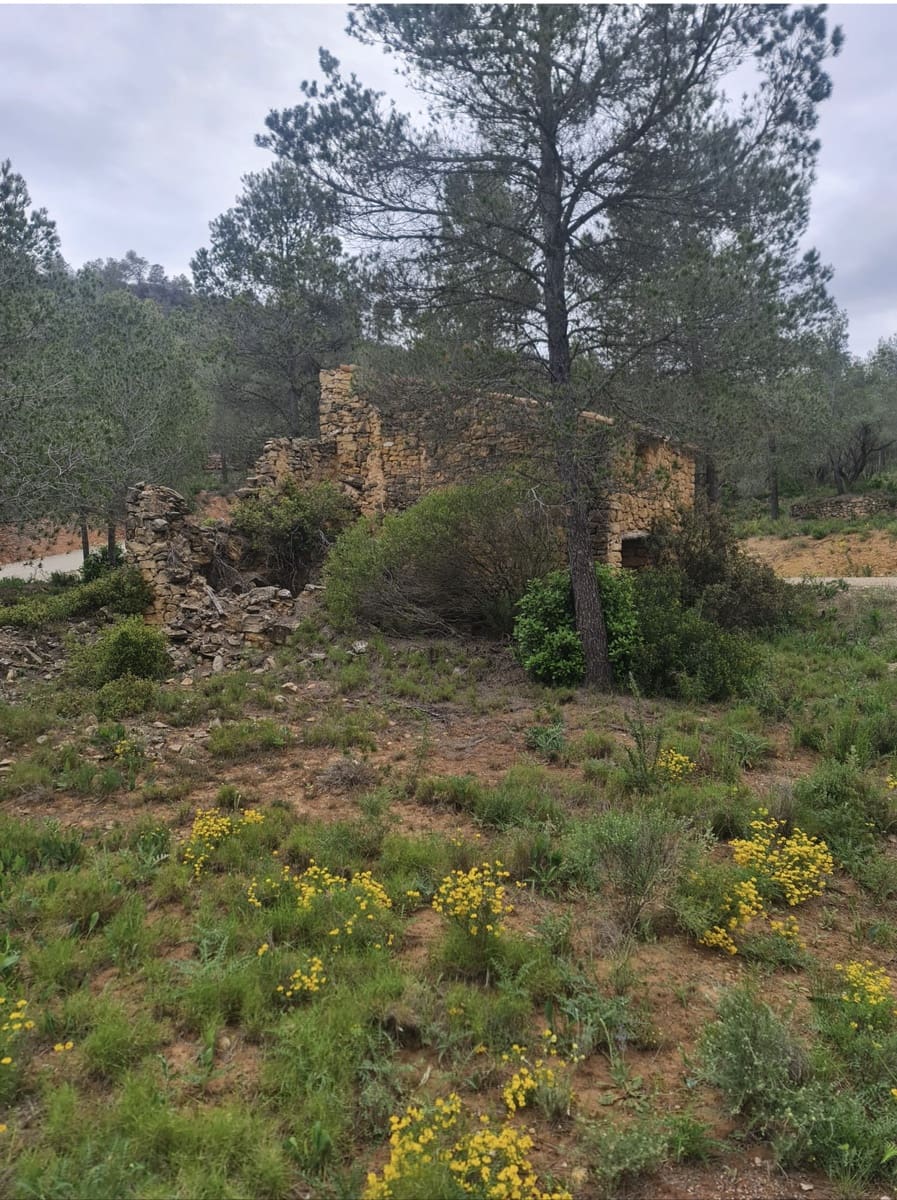 Finca/Landehus til salg i Asco - € 12.000 (Ref: 8936643)