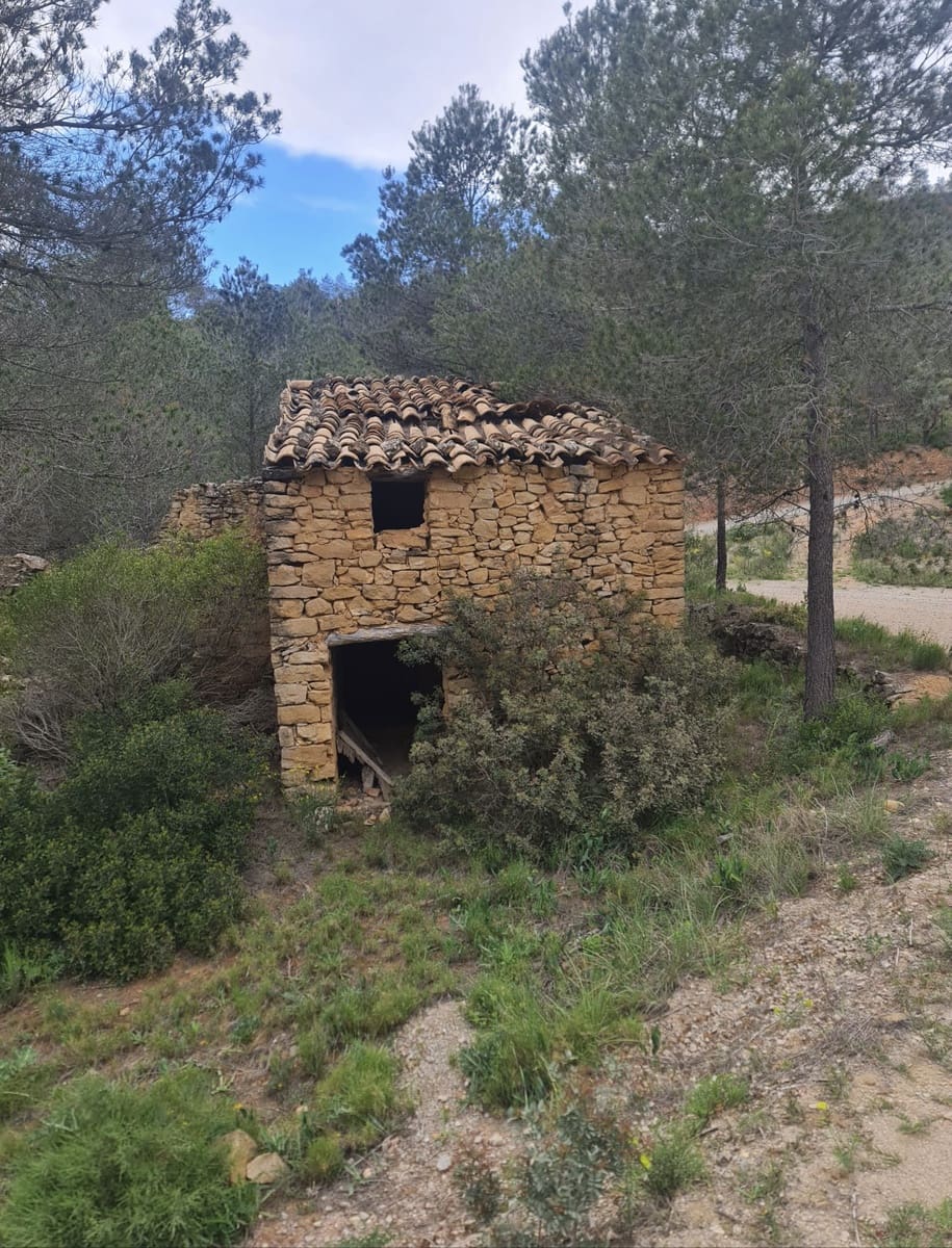 Finca/Landehus til salg i Asco - € 12.000 (Ref: 8936643)