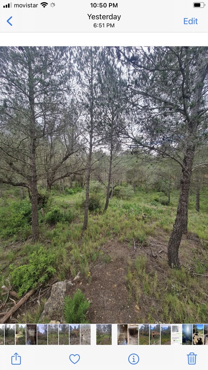 Finca/Landehus til salg i Asco - € 12.000 (Ref: 8936643)