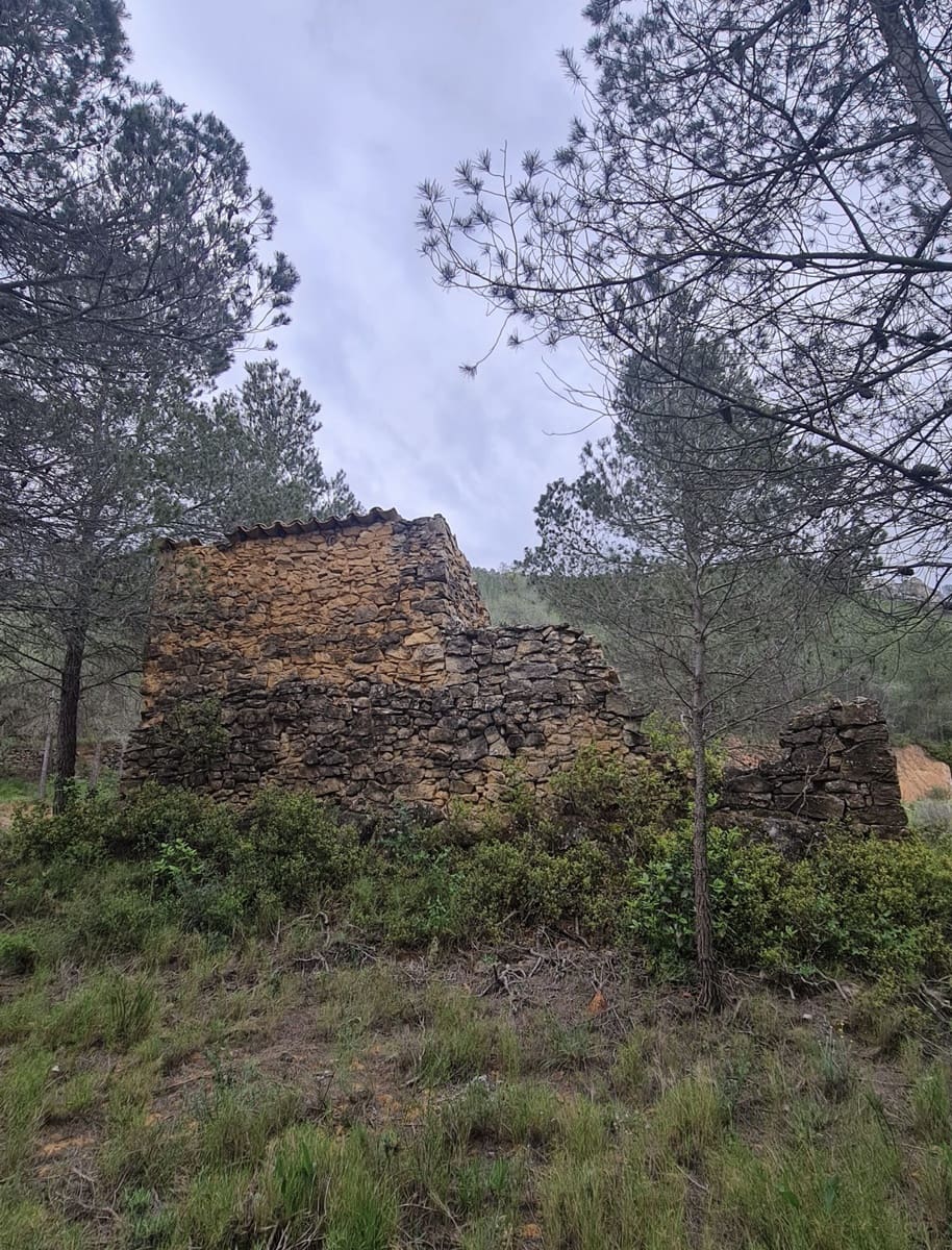 Finca/Landehus til salg i Asco - € 12.000 (Ref: 8936643)