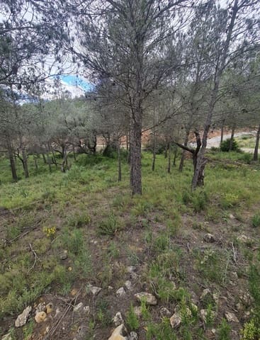 Finca/Country House for sale in Ascó - € 12,000 (Ref: 8936643)