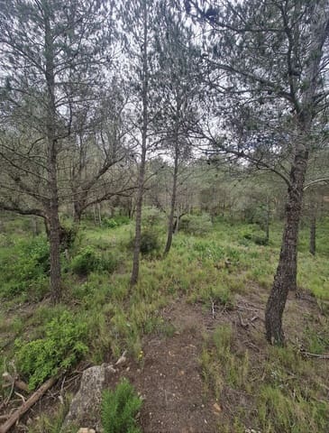 Finca/Landehus til salg i Ascó - € 12.000 (Ref: 8936643)