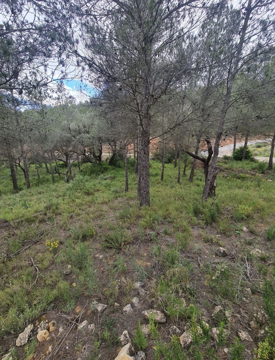 Finca/Landehus til salg i Asco - € 12.000 (Ref: 8936643)