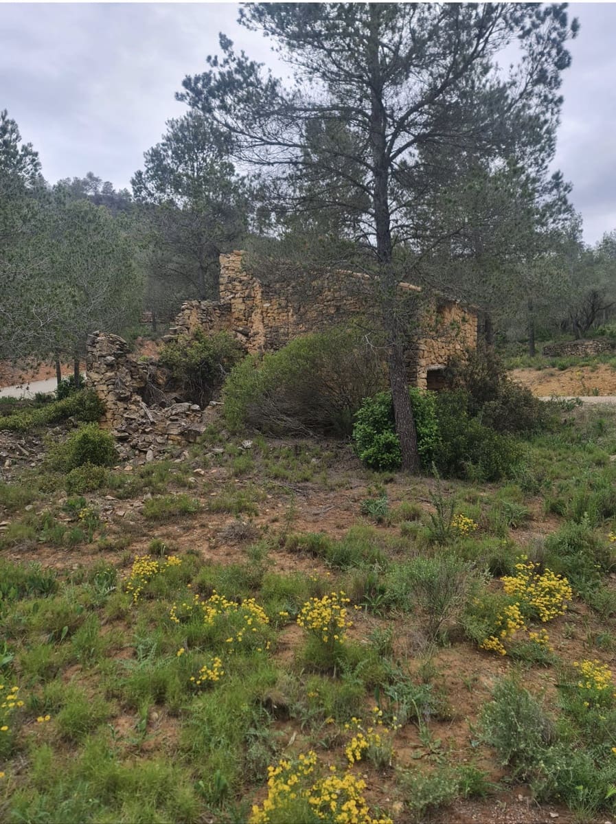 Finca/Landehus til salg i Asco - € 12.000 (Ref: 8936643)