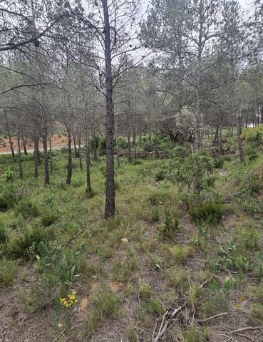 Finca/Landehus til salg i Ascó - € 12.000 (Ref: 8936643)