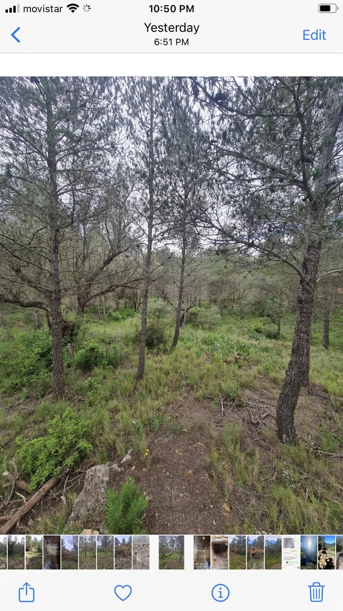 Finca/Landehus til salg i Asco - € 12.000 (Ref: 8936643)