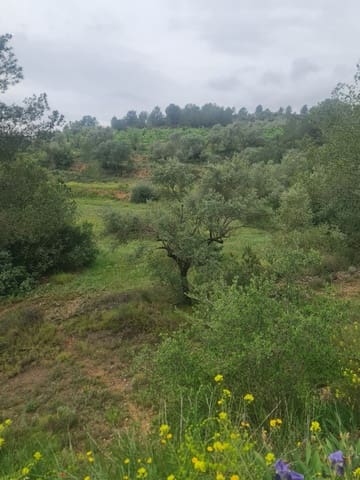 Finca/Landehus til salg i Móra d'Ebre - € 38.000 (Ref: 8947421)